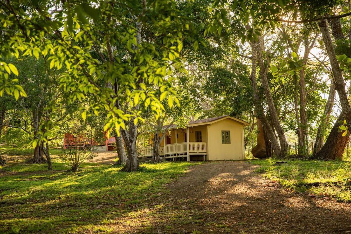 Villas La Paillote Costa Rica Пунтаренас Экстерьер фото